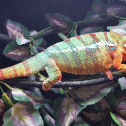 Look Who’s Ready For Their New Homes!